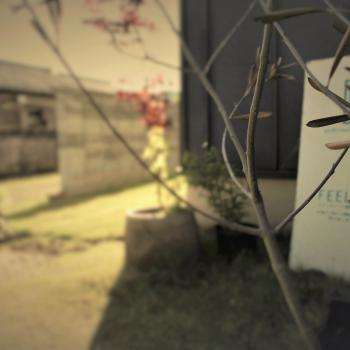 FeeL　it･･･建築デザイン