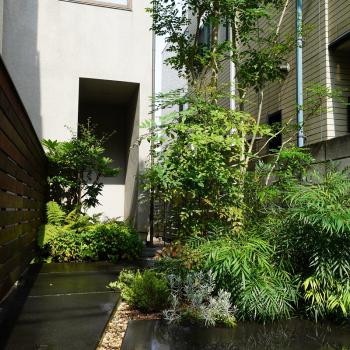 一級建築士事務所 club Mai architects