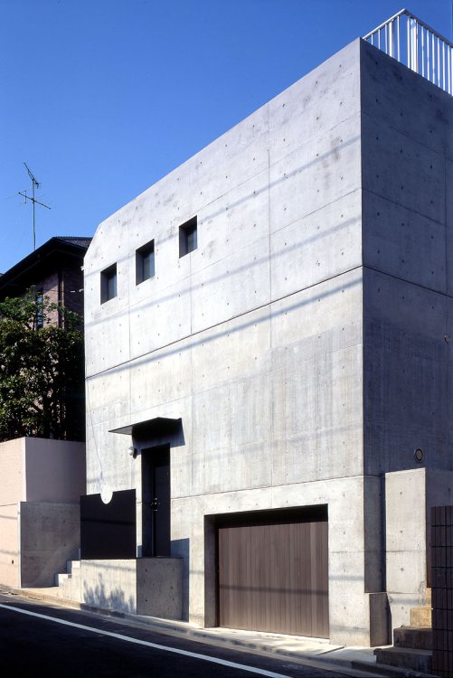 林試の森を臨む家